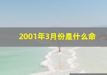 2001年3月份是什么命