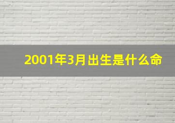 2001年3月出生是什么命