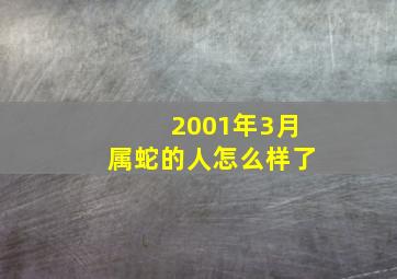 2001年3月属蛇的人怎么样了