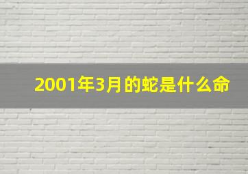 2001年3月的蛇是什么命