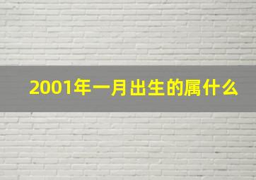 2001年一月出生的属什么