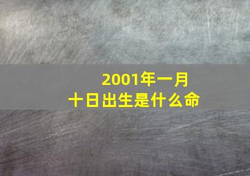 2001年一月十日出生是什么命