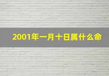 2001年一月十日属什么命