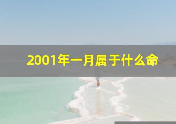 2001年一月属于什么命