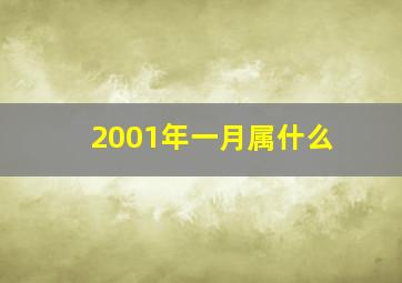 2001年一月属什么