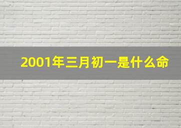 2001年三月初一是什么命