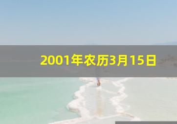 2001年农历3月15日