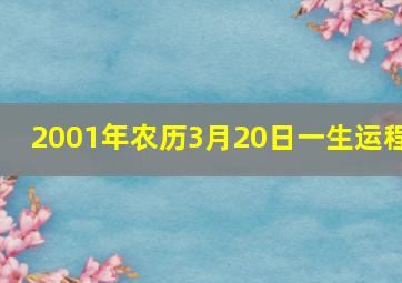 2001年农历3月20日一生运程