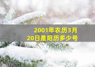 2001年农历3月20日是阳历多少号