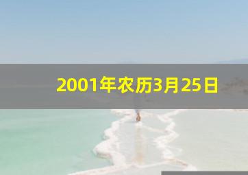 2001年农历3月25日