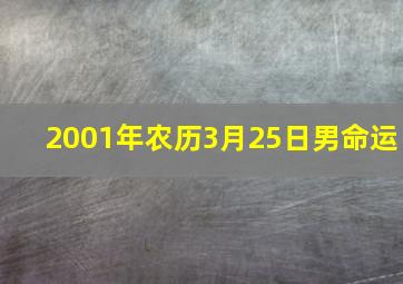 2001年农历3月25日男命运