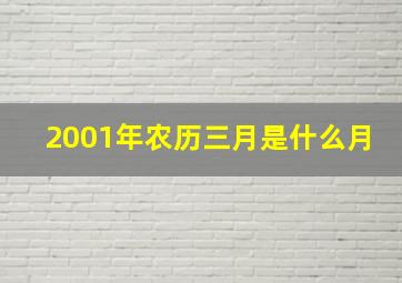 2001年农历三月是什么月