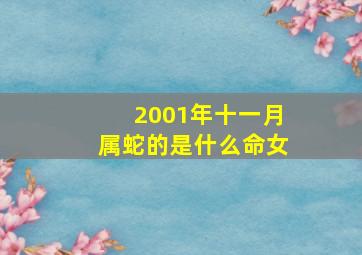 2001年十一月属蛇的是什么命女