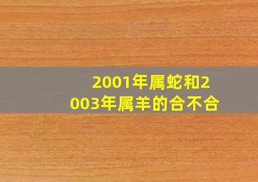 2001年属蛇和2003年属羊的合不合