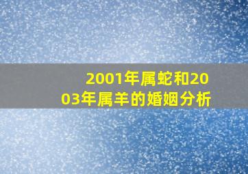 2001年属蛇和2003年属羊的婚姻分析