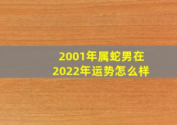 2001年属蛇男在2022年运势怎么样