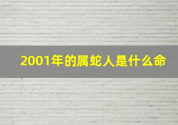 2001年的属蛇人是什么命