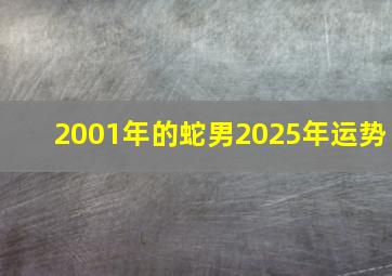 2001年的蛇男2025年运势