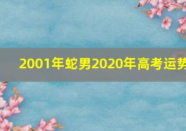 2001年蛇男2020年高考运势