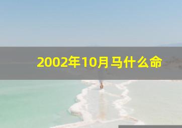 2002年10月马什么命