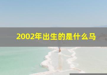 2002年出生的是什么马