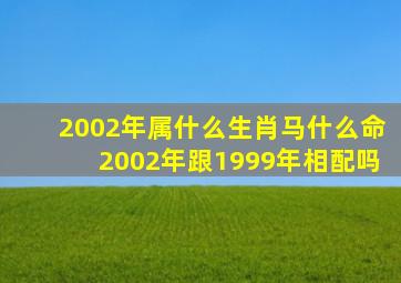 2002年属什么生肖马什么命2002年跟1999年相配吗