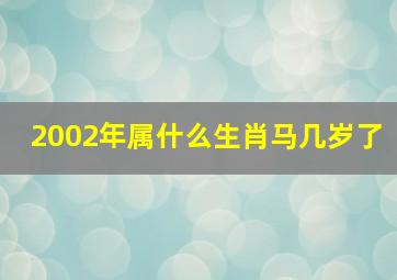 2002年属什么生肖马几岁了