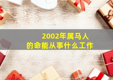 2002年属马人的命能从事什么工作