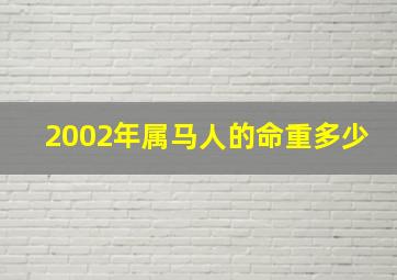 2002年属马人的命重多少