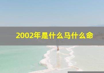 2002年是什么马什么命