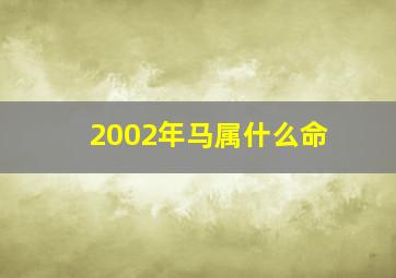 2002年马属什么命