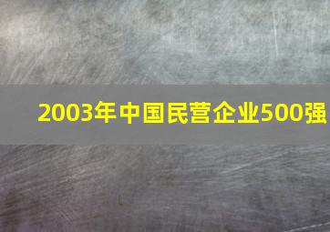 2003年中国民营企业500强