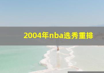 2004年nba选秀重排