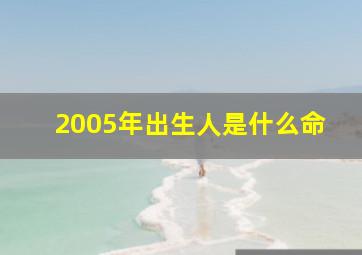 2005年出生人是什么命