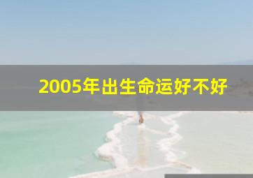 2005年出生命运好不好