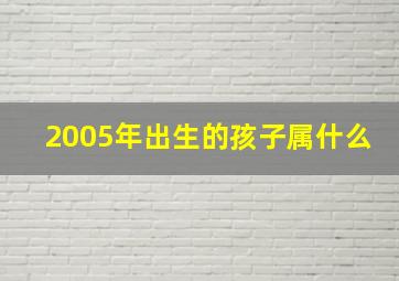 2005年出生的孩子属什么