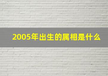 2005年出生的属相是什么