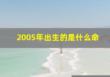 2005年出生的是什么命