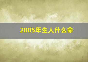 2005年生人什么命