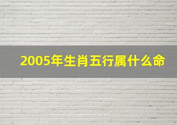 2005年生肖五行属什么命