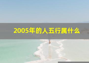 2005年的人五行属什么