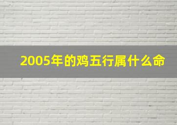 2005年的鸡五行属什么命