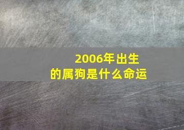 2006年出生的属狗是什么命运