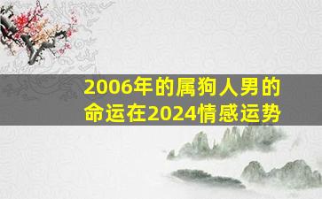 2006年的属狗人男的命运在2024情感运势