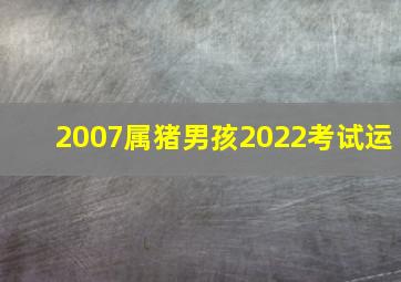 2007属猪男孩2022考试运