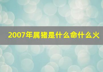 2007年属猪是什么命什么火