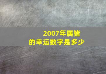 2007年属猪的幸运数字是多少