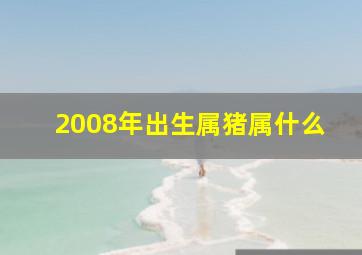 2008年出生属猪属什么