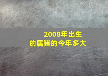 2008年出生的属猪的今年多大