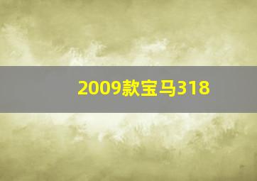 2009款宝马318